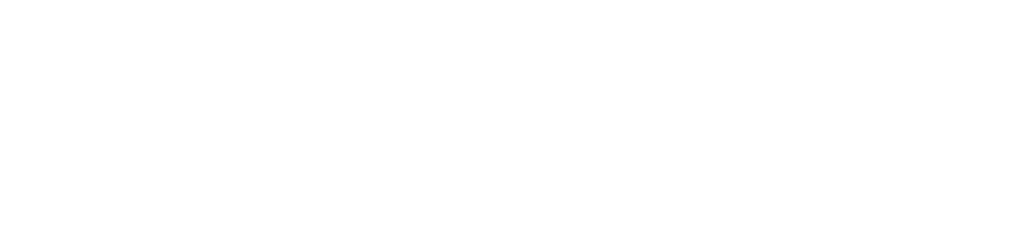 Ortosoft Recovery